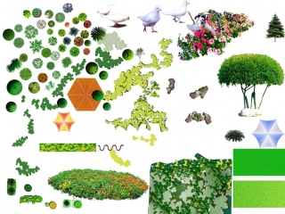 精选千种彩平平面园林植物免抠PSD文件673451662779